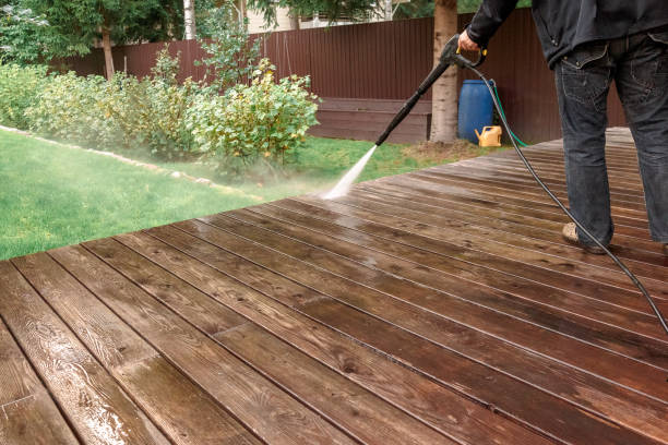 Animal Enclosure Cleaning in Coconut Creek, FL